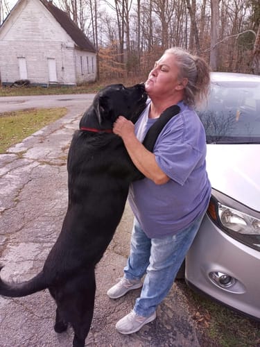 Customer photo review of Mama Bear Nerve Relief Lotion