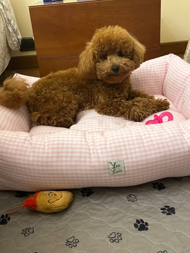 Customer photo review of Divanetto Vichy Rosa