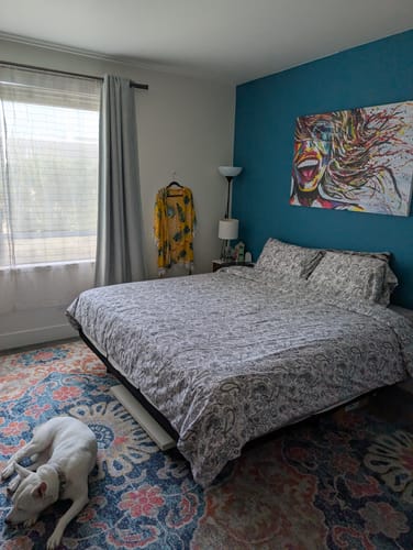 Customer photo review of AFTER NOVA - Smile Forever