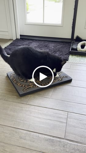 Customer video review of Asian Tiger - Luxury Cat Scratching Board