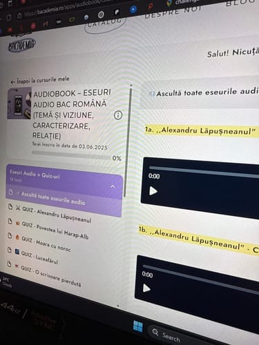 Recenzie cu fotografie de la un client despre Audiobook – Eseuri Audio BAC Română (temă și viziune, caracterizare, relație) + Quiz-uri