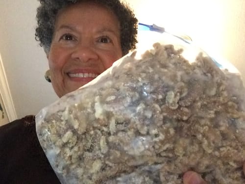 Customer photo review of GROUP BUY | Raw Walnuts (shelled) - 25 lbs