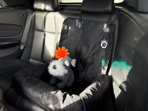 Customer photo review of Car Seat Cover