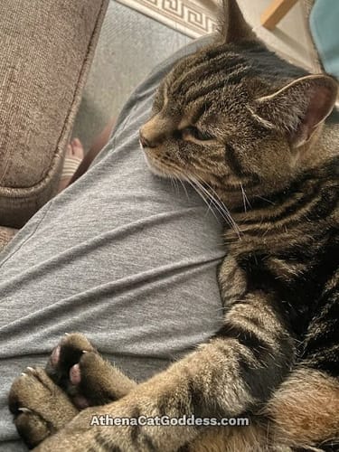 Customer photo review of Patsli Immune