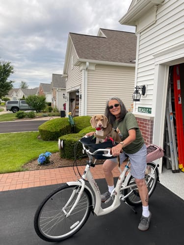 Customer photo review of Kvisp Dog Bike Carrier
