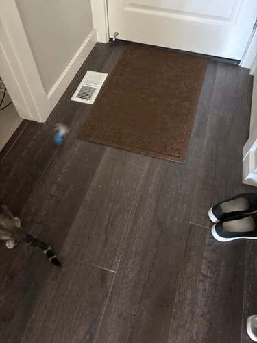 Susan M. review of SPEEDY TAIL 2.0 image 1 out of 1