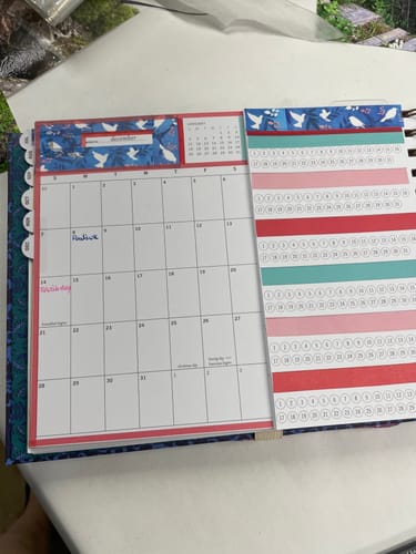 Customer photo review of MINI Horizontal Week + Month Planner, 2025-2026 | Ice Queen