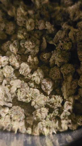 Customer photo review of Indoor THCA Micros