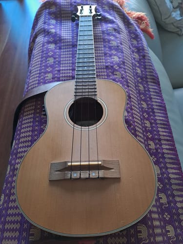Customer photo review of BF-LG Worth Brown Fat Low-G Tenor Ukulele Strings Flurorcarbon 2 Restrings per Packet