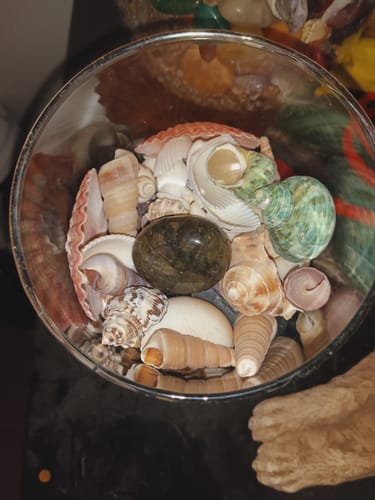 Customer photo review of VIP Crystal Club ~ Monthly Crystal Tester