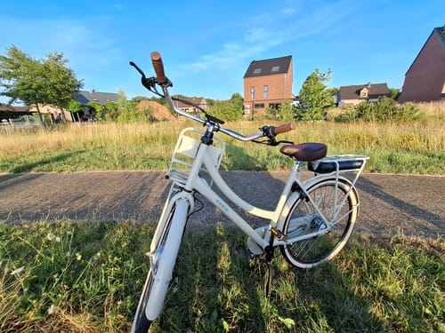 Customer photo review of E-Cargo N3