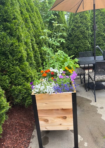Customer photo review of 18" x 48" Raised Garden Bed - 30" TALL