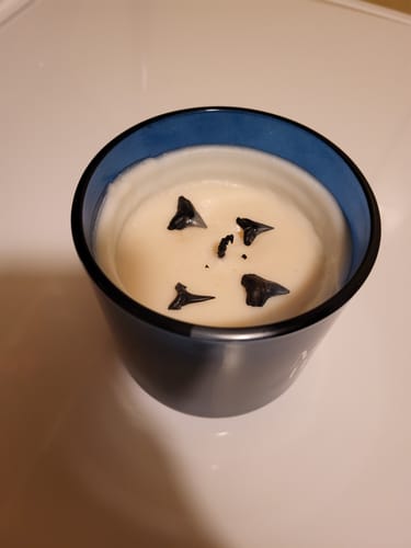 Customer photo review of The Original Shark Tooth Candle