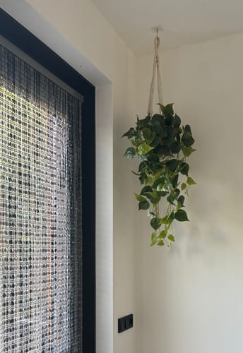 Customer photo review of Philodendron Kunst Hangplant 90cm