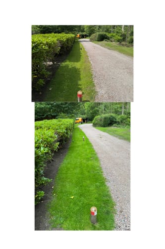 Customer photo review of Animatio® Profi-Rasendünger