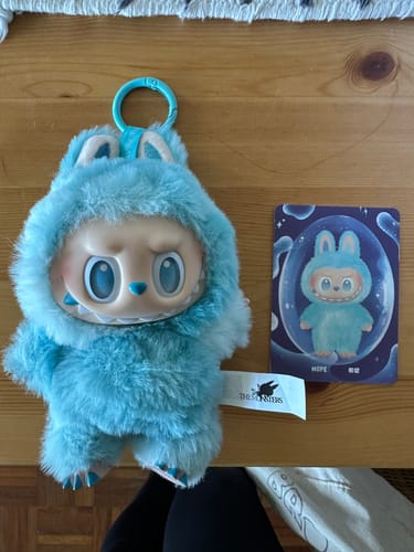 Customer photo review of THE MONSTERS Big into Energy Series-Vinyl Plush Pendant Blind Box