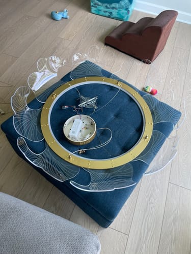 Customer photo review of WOMO Acrylic Ginkgo Leaf Chandelier-WM2000