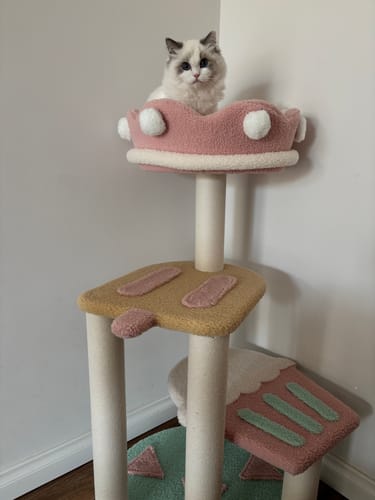 Customer photo review of Ice Cream -Styled Cat Tree with Jumping Platforms & Top Bed