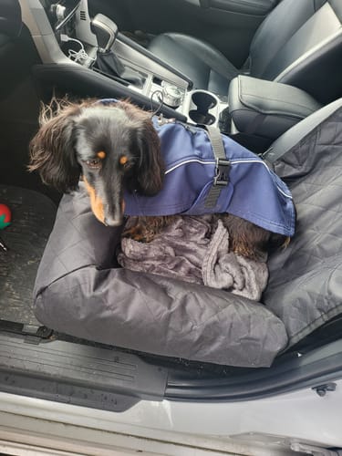 Customer photo review of Car Seat Cover
