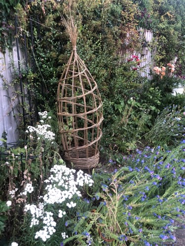 Customer photo review of The Willow Plant Support - Course and Kit