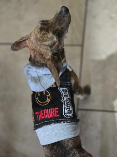 Customer photo review of Black Rocker Hoodie - NIRVANA