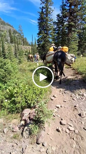 Customer video review of Dominator Sleep System