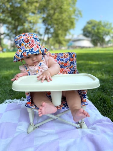 Customer photo review of Willow portable booster chair