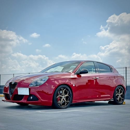 Customer photo review of CUSTOM 2 PIECE FORGED WHEELS: RV-DS016