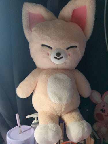 Customer photo review of STRAY KIDS - SKZ 5'CLOCK 5TH FAN MEETING OFFICIAL MD SKZOO PLUSH TEDDYBEAR VER.