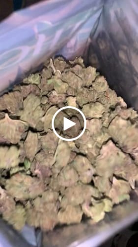 Customer video review of White Runtz - Greenhouse THCA (Smalls)