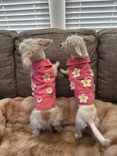 Customer photo review of Daisy Jane Vest & Hat