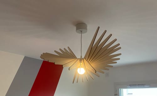 Customer photo review of Albatros | Suspension