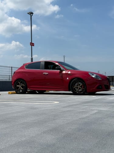 Customer photo review of CUSTOM 2 PIECE FORGED WHEELS: RV-DS016