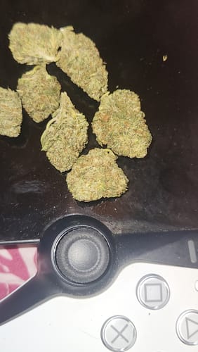 Customer photo review of Strawberry Cough THCA Flower