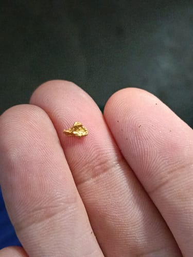 Customer photo review of Aussie Pay dirt