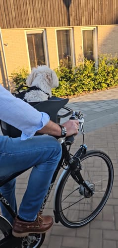 Customer photo review of Kvisp Dog Bike Carrier