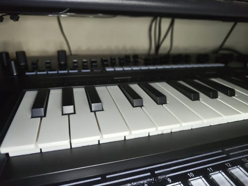 Customer photo review of 【Pre-vendita】Donner Essential L1 Synthesizer-【Spedizione a luglio】