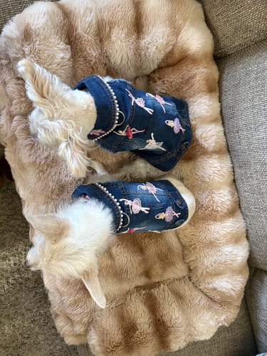 Customer photo review of En Pointe Vest