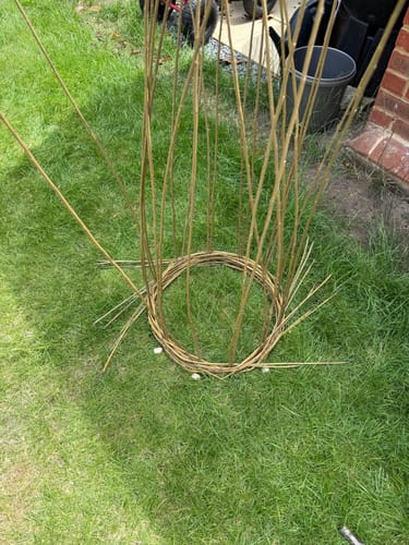 Customer photo review of The Willow Plant Support - Course and Kit