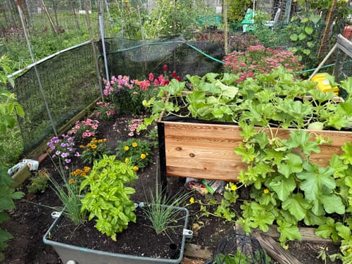 Customer photo review of 18" x 48" Raised Garden Bed - 30" TALL