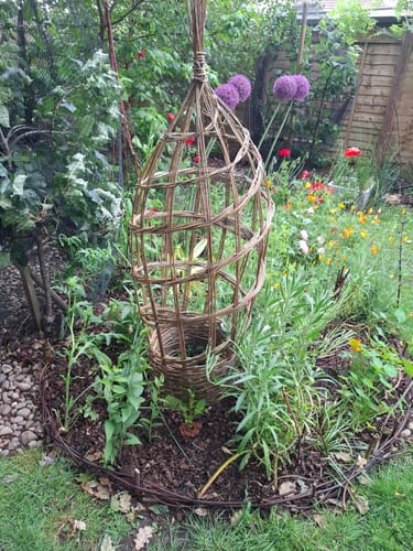 Customer photo review of The Willow Plant Support - Course and Kit