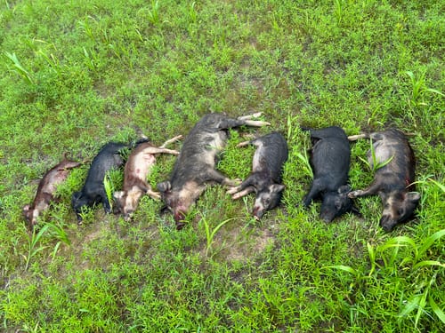 Kirk G. review of Replacement Beefy Boar Shield with Easy-Pull Cable Seam image 1 out of 3