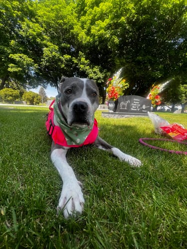 Customer photo review of DA-01™ Daily All-in-One Complete Care