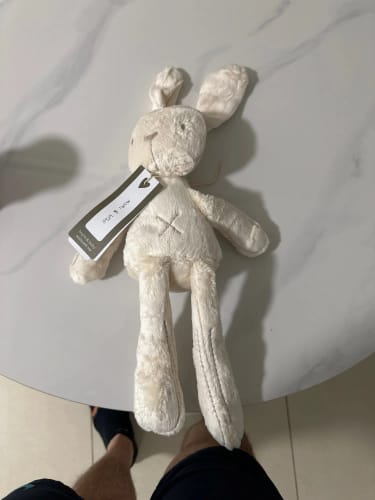 Customer photo review of Long Leg Bunny and Bear Plush Toys