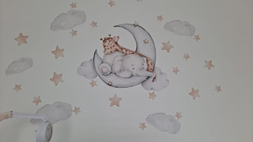 Customer photo review of Elephant & Giraffe on the Moon