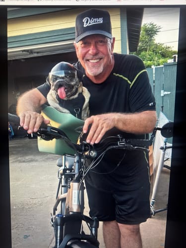 Customer photo review of Kvisp Dog Bike Carrier
