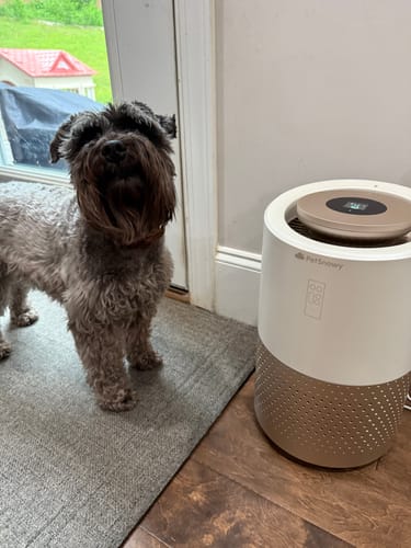 Customer photo review of Pet Air Purifier