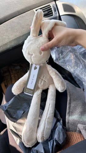 Customer photo review of Long Leg Bunny and Bear Plush Toys