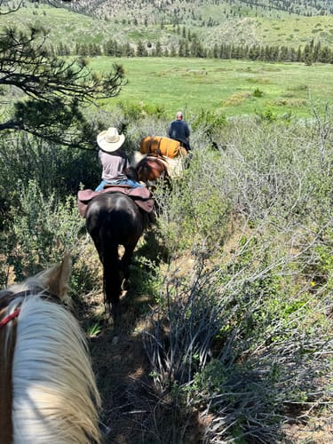 Customer photo review of Dominator Sleep System