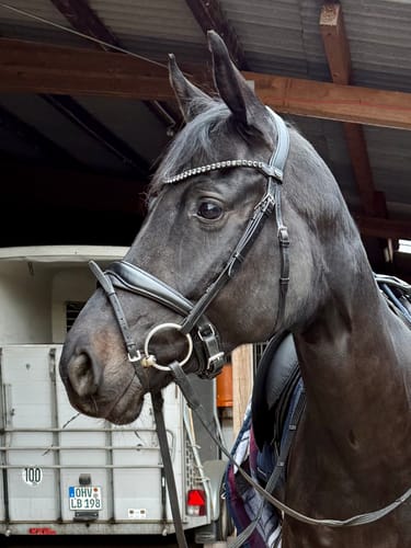 Customer photo review of Kristallkraft Coolly